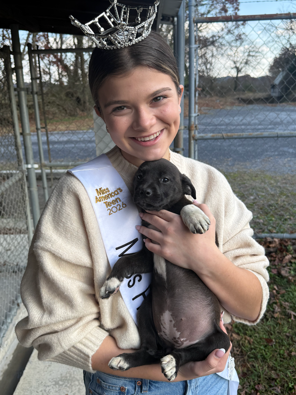 Caroline wearing her Miss America's Teen 2026 sash and crown, holding a rescue puppy